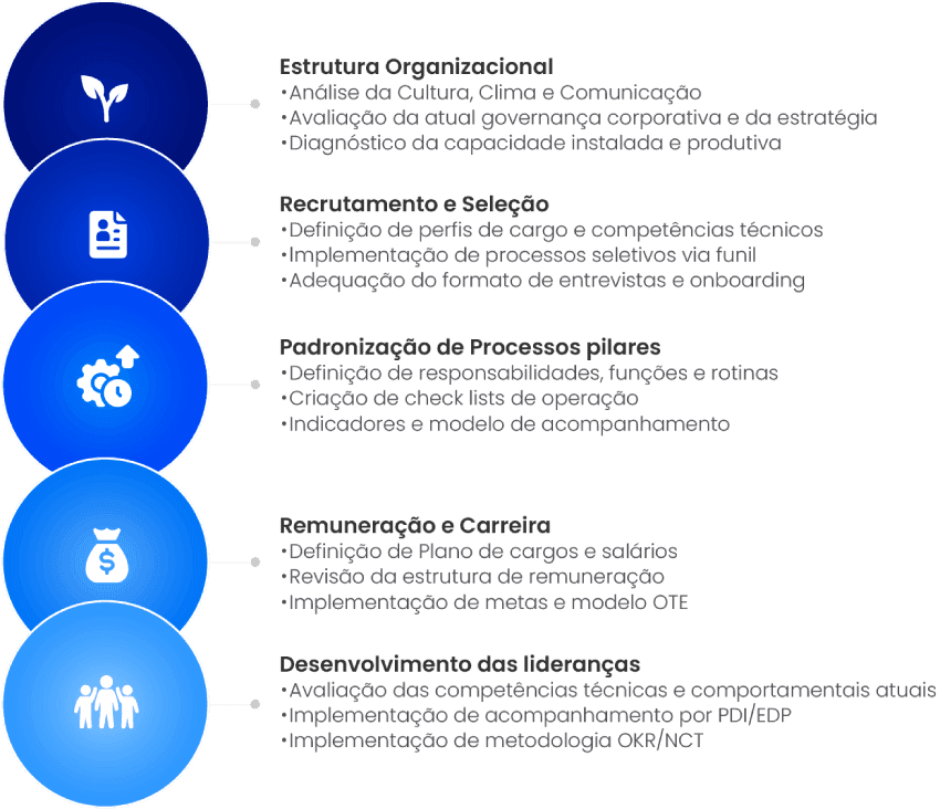 Infografico metodologia Berry